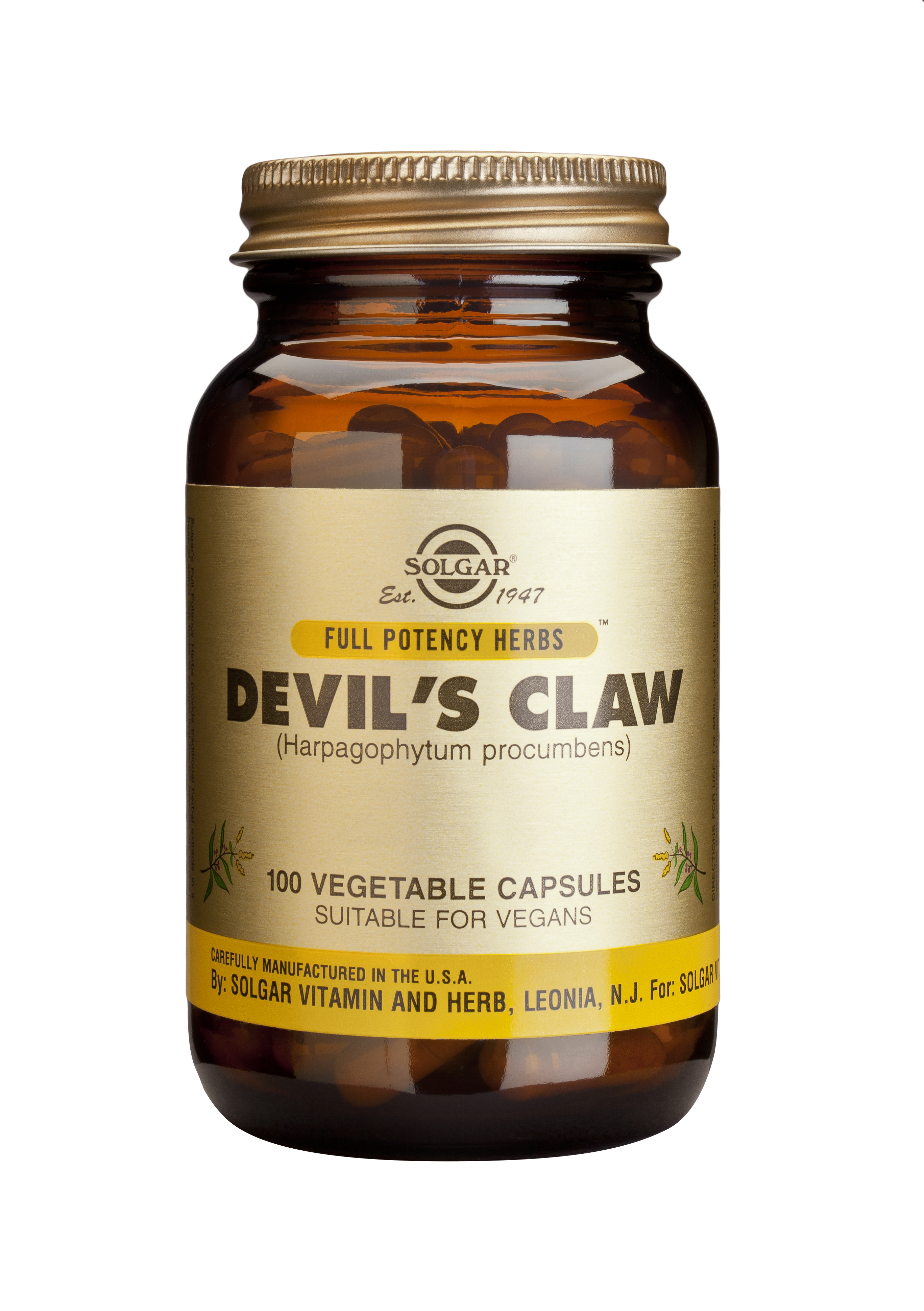 Solgar Devil's Claw Veg.Caps 100S