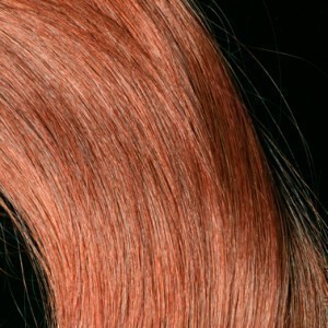 Apivita Nature's Hair Color N7,4 Χάλκινο