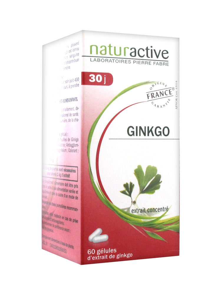 Naturactive Γκινγκο Μπιλομπα 60 Caps