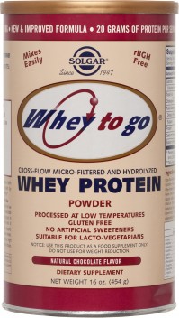 Solgar Whey To Go Protein 454Gr Σοκολάτα
