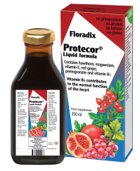 Power Health Floradix Protecor 250ml