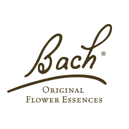 BACH logo